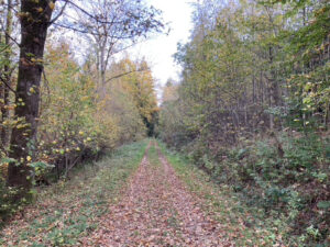 Herbstspaziergang